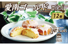 愛南ゴールド mini 12個 セット 10000円 菓子 スイーツ ケーキ 焼き菓子 洋菓子 みかん 柑橘 河内晩柑 レモンケーキ 姉妹品 ギフト 贈答 プレゼント 母の日 父の日 記念日 おやつ 国産 卵 たまご バター 土産 人気 寿提夢 愛南町 愛媛県