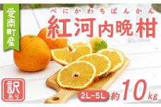 訳あり 紅 河内晩柑 大玉 （ 2L - 5L ） 10kg 7000円 みかん かわちばんかん 愛南ゴールド あいなん ゴールド 美生柑 文旦 グレープフルーツ 和製 幻 の 紅河内晩柑 紅晩柑 希少 家庭用 産地直送 国産 農家直送 糖度 果樹園 期間限定 数量限定 特産品 ゼリー ジュース 果汁 人気 限定 さわやか 甘い フルーツ 果物 柑橘 蜜柑 規格外 愛媛県 愛南町 あいなんマザーズ