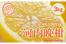 訳あり フルーツアイランド・マルエム直販の愛南産の河内晩柑 約3kg お試し 柑橘 フルーツ 果物 蜜柑 みかん くだもの mikan 家庭用 傷 不揃い  サイズミックス かわち ばんかん かんきつ 和製 グレープフルーツ 愛南ゴールド デザート 果実 果汁 甘い ジューシー おいしい 特産品 国産 農園 直送 産地 直送 愛媛県 愛南町