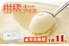 柑橘アイス 1L (1個1L)【 河内晩柑 】 少量 お試し 冷凍 みかん 旬 農家直送 特産品 さっぱり 大人 旨味 アイス ジェラート シャーベット ソルベ アイスクリーム ランキング 人気 業務量 業務用 訳あり ワケアリ 家庭用 みかん 柑橘 かんきつ まどんな 愛果28号 愛南ゴールド 不知火 デコポン ぽんかん 冷凍 冷凍みかん 冬 夏 みかん職人武田屋 愛媛県 愛南町