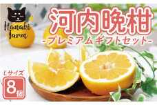 贈答用 樹齢40年 以上 河内晩柑 プレミアム 8個 （ Lサイズ ） 20000円 みかん かわちばんかん 愛南ゴールド あいなん ゴールド 美生柑 文旦 グレープフルーツ 和製 高級 ギフト プレゼント 父の日 母の日 バイオ農法 産地直送 国産 農家直送 期間限定 数量限定 ビタミン 特産品 ゼリー ジュース 人気 限定 さわやか 甘い フルーツ 果物 柑橘 蜜柑 愛媛県 愛南町 はなき農園
