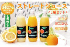 みかん 果汁 100% ストレート ジュース 3本 セット （ 1000ml × 3本 ） ぽんかん はるか 河内晩柑 愛南ゴールド 10000円 1万円 数量限定 期間限定 高級 贈答 ギフト プレゼント 母の日 敬老の日 おやつ 国産 フルーツ 果物 柑橘 産地直送 農家直送 特産品 完熟 濃厚 人気 限定 甘い こどもの日 ジューシー 新鮮 果実 さわやか 愛媛県 愛南町  くらもとファーム