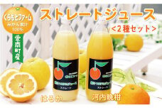 みかん 果汁 100% ストレート ジュース 2本 セット （ 1000ml × 2本 ） はるか 河内晩柑 愛南ゴールド 7000円 数量限定 期間限定 高級 贈答 ギフト プレゼント 母の日 敬老の日 父の日 おやつ 国産 フルーツ 果物 柑橘 産地直送 農家直送 特産品 完熟 濃厚 人気 限定 甘い こどもの日 ジューシー 新鮮 果実 さわやか 愛媛県 愛南町  くらもとファーム