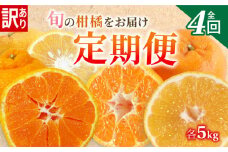 【定期便4回】 訳あり 季節の柑橘4種✕5kg 合計 20kg ポンカン 不知火 甘夏 河内晩柑   柑橘 みかん 果物 フルーツ ゼリー アイス ジュース 定期便  フルーツ定期便 和製 グレープフルーツ 夏文旦 ぽんかん 旬の果物 旬のフルーツ 愛南町 愛媛県 愛南フルーツ