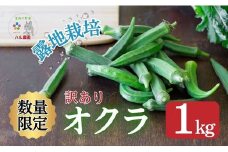訳あり オクラ 1kg 朝どれ 数量限定 不揃い 野菜  ふるさと納税 愛媛県 愛南町 お試し 試供品 お手軽 5000円 ｱｰﾘｰﾌｧｲﾌﾞ 夏野菜 農家直送 ハル農園