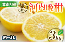 訳あり 清家ばんかんビレッジ の 河内晩柑 3kg お試し (発送期間:3/10~7/10) 柑橘 柑橘 かんきつ 蜜柑 みかん 愛南ゴールド サイズミックス 規格外 キズ 傷 わけあり ふるさと納税 家庭用 贈答用 プレゼント らんきんぐ 6000円 愛媛 愛南