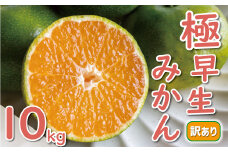 先行予約 訳あり 極早生 温州みかん 10kg 12000円 愛媛 みかん こたつ みかん 家庭用 産地直送 国産 農家直送 糖度 果樹園 期間限定 数量限定 特産品 ゼリー ジュース アイス 人気 限定 甘い 果実 果肉 フルーツ 果物 柑橘 蜜柑 先行 事前 予約 受付 ビタミン 健康 美容 美味しい ジューシー 規格外 サイズ ミックス 愛南町 愛媛県 ミッチーのおみかん畑