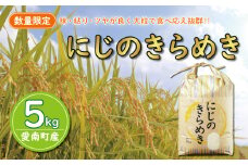 先行予約 新米 令和7年産 にじのきらめき 5kg 9000円 お米 白米 精米 低温 貯蔵庫 産地直送 国産 農家直送 期間限定 数量限定 特産品 先行 事前 予約 受付 令和7年度産 2025年産 新品種 大粒 もっちり 粘り 甘み おいしい おにぎり コシヒカリ に負けない 内祝い お祝い 贈答品 お返し プレゼント 土産 御礼 お礼 お取り寄せ 愛南町 愛媛県 マルハラファーム
