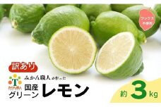 訳あり レモン（グリーンレモン） 3kg りのか ワックス不使用 少量 お試し 人気 アレンジ 農家直送 地場産品 減農薬 レモン グリーンレモン 農家直送 柑橘 かんきつ 檸檬 果物 くだもの 果実 国産 フルーツ 有名 愛媛ブランド 愛媛県産 瀬戸内 美味しい 生産者 直送 産直 無添加 レモンサワー ジュース チューハイ 愛媛県 愛南町 みかん職人武田屋 