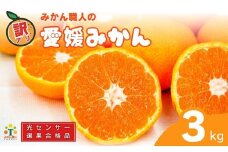 訳あり 愛媛みかん 3kg 人気 みかん 冬 秋 旬 糖度 糖度計 厳選 光センサー選果 柑橘 かんきつ 果物 くだもの 国産 こくさん フルーツ スイーツ デザート ご褒美 みかん 蜜柑 大小 サイズ ミックス 不揃い 傷 温州 温州みかん ビタミン 美味しい 農家直送 地場産品 こだわり みかん職人武田屋 愛媛県 愛南町 