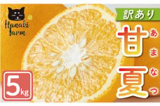 訳あり 甘夏 5kg 7000円 みかん あまなつ 夏みかん グレープフルーツ だいだい 家庭用 産地直送 国産 農家直送 糖度 果樹園 期間限定 数量限定 ビタミン 健康 美容 特産品 ゼリー マーマレード ピール ジュース デザート 人気 甘い おいしい さわやか フルーツ 果物 柑橘 蜜柑 規格外 愛南町 愛媛県 はなき農園