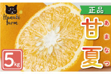 正品 甘夏 5kg 9000円 みかん あまなつ 夏みかん グレープフルーツ だいだい 家庭用 産地直送 国産 農家直送 糖度 果樹園 期間限定 数量限定 ビタミン 健康 美容 特産品 ゼリー マーマレード ピール ジュース デザート 人気 甘い おいしい さわやか フルーツ 果物 柑橘 蜜柑 規格外 愛南町 愛媛県 はなき農園