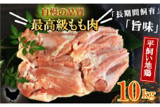 地鶏 愛媛 媛っこ地鶏 もも肉 約10kg 鶏肉 鳥肉 肉 チキン むね 焼肉 焼き鳥  BBQ 冷凍 国産 高級 タンパク質 低脂肪 糖質 唐揚げ チキン南蛮 サラダチキン スープ 出汁 愛南町 送料無料 ローカルスタンダード