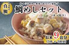 鯛めしセット （180ｇ×３パック） カマ付き まだい 鯛 冷凍 ダイスカット サイコロ コロコロ 真鯛コロコロ 角切り 鯛めし 釜めし 炊き込みご飯 10000円  おかず 惣菜 つまみ 入れるだけ 国産 魚介 特産品 魚介類 海産物 鮮魚 養殖 産地直送 海鮮 ブランド 簡単 お正月 お祝い 年末 年始 クリスマス パーティ お食い初め パック 愛南町 愛媛県 愛南サン・フィッシュ