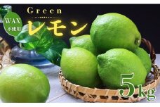 【先行受付】レモン（グリーンレモン）  5kg【発送時期：10月上旬～12月下旬】  サイズミックス レモン グリーンレモン 柑橘 サワー チューハイ ジュース ドレッシング サラダ 前田ファーム 愛媛県 愛南町