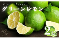 【訳あり】 レモン（グリーンレモン） 2kg サイズミックス 【発送時期：10月～4月】 グリーン レモン 防腐剤 ワックス 不使用 サイズミックス お試し 試供品 少量 5000円 清家ばんかんビレッジ 愛媛県 愛南町