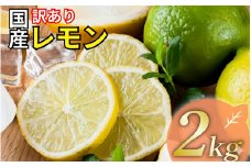 レモン 訳あり 2kg 5000円 送料無料 愛媛 国産 柑橘 フルーツ 産地直送 皮ごと 皮まで食べられる ノーワックス 防腐剤不使用 減農薬 安心 安全 グリーンレモン イエローレモン マイヤーレモン アレンユーレカ りのか 家庭用 お試し サイズ 不揃い B級品 スムージー ジュース レモンサワー 酎ハイ 料理 お菓子作り 旬 の 果物 清家ばんかんビレッジ