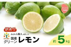 訳あり レモン（グリーンレモン） 5kg りのか ワックス不使用 減農薬 レモン グリーンレモン 農家直送 こだわり らんきんぐ 柑橘 かんきつ 檸檬 果物 くだもの 果実 国産 フルーツ 有名 愛媛  ブランド 愛媛県産 瀬戸内 ビタミン 美味しい 生産者 直送 産直 無添加 レモンサワー ジュース チューハイ 愛媛県 愛南町 みかん職人武田屋