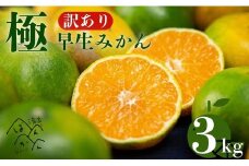訳あり 極早生 愛媛みかん 3kg 2S から L サイズ サイズミックス 温州みかん 柑橘 愛媛 みかん 一番みかん 柑橘 みかん 少量 お試し 試供品 7000円 みかん mikan 蜜柑 ミカン 産地直送 国産 農家直送 糖度 期間限定 数量限定 特産品 ゼリー ジュース アイス 人気 甘い フルーツ 果物 柑橘 ビタミン 愛媛県 愛南町 清家ばんかんビレッジ