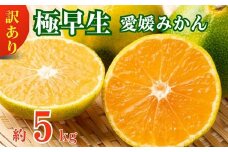 愛媛みかん 極早生 5kg 早生みかん 蜜柑 みかん 温州みかん 極早生 早生 愛媛みかん オレンジ サイズミックス 果物 フルーツ 柑橘 人気 サイズ 不揃い 愛媛県 愛南町青果市場 発送期間：2024年10月初旬～10月末(なくなり次第終了)