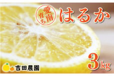 はるか 3kg 7000円 みかん 国産 産地直送 農家直送 期間限定 数量限定 ビタミン 特産品 人気 限定 さわやか 甘い フルーツ 果物 果実 柑橘 蜜柑 糖度 果樹園 おいしい 愛媛 みかん ブランド オレンジ 大小 サイズ ミックス ゼリー ジュース ハニーレモン 風味 スマイルカット 愛南町 愛媛県 吉田農園