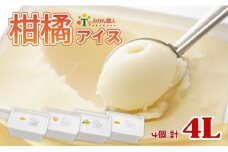 柑橘アイス 計4L(1個1L 4種) 【夢おれんじ 河内晩柑 愛媛みかん しらぬい 】 アイス ジェラート シャーベット ソルベ アイスクリーム ランキング 人気 業務量 業務用 大容量 贈答用 プレゼント 訳あり ワケアリ 家庭用 みかん 柑橘 かんきつ まどんな 愛果28号 愛南ゴールド 不知火 デコポン ぽんかん 冷凍 冷凍みかん 冬 夏 みかん職人武田屋 愛媛県 愛南町