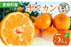 【先行受付】訳あり ポンカン 約5kg【発送時期 2月上旬～なくなり次第終了】 ぽんかん みかん 蜜柑 柑橘 冬 清家ばんかんビレッジ 愛媛 愛南