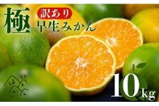 訳あり 極早生 愛媛みかん 10kg 2S から L サイズ サイズミックス 愛媛みかん 温州みかん 柑橘 愛媛 みかん こたつ みかん mikan 蜜柑 ミカン 産地直送 国産 農家直送 糖度 期間限定 数量限定 特産品 ゼリー ジュース アイス 等に 人気 甘い フルーツ 果物 柑橘 ビタミン 健康 美味しい おいしい ジューシー  愛媛県 愛南町 清家ばんかんビレッジ