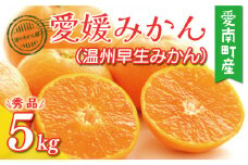 先行予約 愛媛みかん 秀品 （ 温州 早生 みかん ） 5kg 7000円 愛媛 みかん 温州みかん 早生 みかん こたつ みかん mikan 蜜柑 ミカン 家庭用 贈答用 産地直送 国産 農家直送 糖度 期間限定 数量限定 特産品 ゼリー ジュース アイス 人気 限定 甘い フルーツ 果物 柑橘 先行 事前 予約 受付 ビタミン 美味しい おいしい サイズ ミックス 愛南町 愛媛県 渚のみかん園