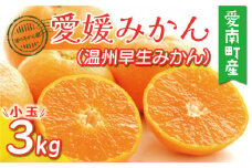 先行予約 訳あり 小玉 愛媛みかん （ 温州 早生 みかん ） 3kg 5000円 愛媛 みかん 温州みかん 早生 みかん こたつ みかん mikan 蜜柑 ミカン 家庭用 産地直送 国産 農家直送 糖度 期間限定 数量限定 特産品 ゼリー ジュース アイス 人気 限定 甘い フルーツ 果物 柑橘 先行 事前 予約 受付 ビタミン おいしい 規格外 サイズ ミックス 愛南町 愛媛県 渚のみかん園