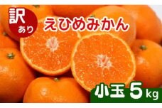 【先行予約】訳あり 愛媛みかん 小玉 5kg (傷み保証250g) 発送期間 2025年11月上旬以降 みかん 愛媛みかん 温州みかん 南柑20号 柑橘 蜜柑 かんきつ 冬 秋 旬 正月 愛媛 愛媛県 愛南町 お歳暮 プレゼント くだもの 果物 フルーツ スイーツ おやつ お菓子 和菓子 甘い 糖度 オレンジ 冷凍 みかん ジュース 清家ばんかんビレッジ