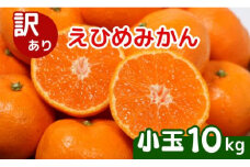 【先行受付】訳あり 清家ばんかんビレッジの愛媛みかん 小玉 10kg (傷み保証250g) 【発送期間 2025年11月上旬～】 みかん 愛媛みかん 温州みかん 南柑20号 柑橘 蜜柑 かんきつ 冬 秋 旬 正月 愛媛 愛媛県 愛南町 お歳暮 プレゼント くだもの 果物 フルーツ スイーツ おやつ お菓子 和菓子 甘い 糖度 オレンジ 冷凍 みかん ジュース 清家ばんかんビレッジ
