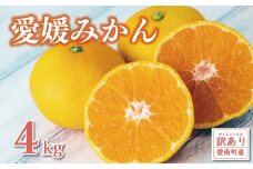 訳あり 愛媛みかん 4kg 7000円 愛媛 みかん 温州みかん こたつ みかん mikan 蜜柑 ミカン 産地直送 国産 農家直送 糖度 期間限定 数量限定 特産品 ゼリー ジュース アイス 等に 人気 限定 甘い フルーツ 果物 柑橘 ビタミン 健康 美味しい おいしい ジューシー 小玉 含む 規格外 サイズ ミックス 傷み補償 500g ミッチーのおみかん畑 愛南町 愛媛県