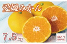 訳あり 愛媛みかん 7.5kg 10000円 愛媛 みかん 温州みかん こたつ みかん mikan 蜜柑 ミカン 産地直送 国産 農家直送 糖度 期間限定 数量限定 特産品 ゼリー ジュース アイス 等に 人気 限定 甘い フルーツ 果物 柑橘 ビタミン 健康 美味しい おいしい ジューシー 小玉 含む 規格外 サイズ ミックス 傷み補償 500g ミッチーのおみかん畑 愛南町 愛媛県