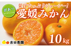 先行予約 訳あり 愛媛みかん 10kg 18000円 愛媛 みかん 温州みかん こたつ みかん mikan 蜜柑 ミカン 家庭用 産地直送 国産 農家直送 糖度 期間限定 数量限定 特産品 ゼリー ジュース アイス 人気 限定 甘い フルーツ 果物 柑橘 先行 事前 予約 受付 ビタミン 美味しい おいしい サイズ ミックス 吉田農園 愛南町 愛媛県