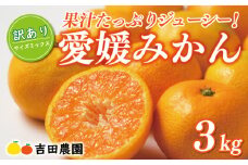 先行予約 訳あり 愛媛みかん 3kg 7000円 愛媛 みかん 温州みかん こたつ みかん mikan 蜜柑 ミカン 家庭用 産地直送 国産 農家直送 糖度 期間限定 数量限定 特産品 ゼリー ジュース アイス 人気 限定 甘い フルーツ 果物 柑橘 先行 事前 予約 受付 ビタミン 美味しい おいしい サイズ ミックス 吉田農園 愛南町 愛媛県