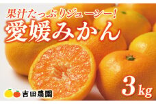 先行予約 愛媛みかん 3kg 9000円 愛媛 みかん 温州みかん こたつ みかん mikan 蜜柑 ミカン 家庭用 贈答用 ギフト プレゼント お歳暮 産地直送 国産 農家直送 糖度 期間限定 数量限定 特産品 ゼリー ジュース アイス 人気 限定 甘い フルーツ 果物 柑橘 先行 事前 予約 受付 ビタミン 美味しい おいしい 吉田農園 愛南町 愛媛県