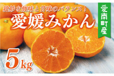 訳あり 愛媛みかん 5kg 7000円 愛媛 みかん 温州みかん 早生 みかん こたつ みかん 温州ミカン 温州 mikan 蜜柑 ミカン 家庭用 贈答用 ギフト プレゼント お歳暮 産地直送 国産 農家直送 糖度 期間限定 数量限定 特産品 ゼリー ジュース アイス 人気 限定 甘い フルーツ 果物 柑橘 ビタミン 美味しい おいしい サイズ ミックス 愛南町 愛媛県 マルハラファーム