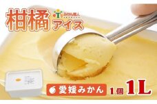 柑橘アイス 1L (1個1L)【 愛媛みかん 】 少量 お試し 冷凍 みかん 旬 農家直送 特産品 さっぱり 大人 旨味 アイス ジェラート シャーベット ソルベ アイスクリーム ランキング 人気 業務量 業務用 訳あり ワケアリ 家庭用 みかん 柑橘 かんきつ まどんな 愛果28号 愛南ゴールド 不知火 デコポン ぽんかん 冷凍 冷凍みかん 冬 夏 みかん職人武田屋 愛媛県 愛南町