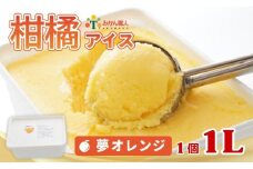 柑橘アイス 1L (1個1L)【 夢オレンジ 】 少量 お試し 冷凍 みかん 旬 農家直送 特産品 さっぱり 大人 旨味 アイス ジェラート シャーベット ソルベ アイスクリーム ランキング 人気 業務量 業務用 訳あり ワケアリ 家庭用 みかん 柑橘 かんきつ まどんな 愛果28号 愛南ゴールド 不知火 デコポン ぽんかん 冷凍 冷凍みかん 冬 夏 みかん職人武田屋 愛媛県 愛南町