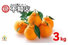 先行受付 訳あり 不知火 3kg 【発送期間：2月中旬～なくなり次第終了 】 しらぬい かんきつ 柑橘 みかん 蜜柑 でこぽん おやつ きず 傷 ふぞろい 不揃いフルーツ 果物 くだもの 果実 愛媛県 愛南町 みかん職人武田屋