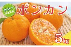 先行予約 訳あり ポンカン 5kg 7000円 ぽんかん みかん mikan 蜜柑 ミカン 家庭用 贈答用 産地直送 国産 農家直送 糖度 期間限定 数量限定 特産品 ゼリー ジュース アイス 人気 限定 甘い 果実 果肉 フルーツ 果物 柑橘 先行 事前 予約 受付 ビタミン 健康 美味しい おいしい ジューシー サイズ ミックス くらもとファーム 愛南町 愛媛県