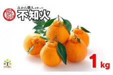 先行受付 訳あり 不知火 1kg 【発送期間：2月中旬～なくなり次第終了 】 しらぬい かんきつ 柑橘 みかん 蜜柑 でこぽん おやつ きず 傷 ふぞろい 不揃いフルーツ 果物 くだもの 果実 愛媛県 愛南町 みかん職人武田屋