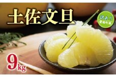 先行予約 訳あり 土佐 文旦 9kg 10000円 ぶんたん みかん mikan 蜜柑 ミカン 土佐文旦 家庭用 産地直送 国産 農家直送 糖度 期間限定 数量限定 特産品 ゼリー ジュース アイス 人気 限定 甘い 果実 果肉 フルーツ 果物 柑橘 先行 事前 予約 受付 ビタミン 健康 美味しい おいしい ジューシー サイズ ミックス くらもとファーム 愛南町 愛媛県
