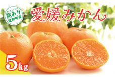 先行予約 訳あり 愛媛みかん 5kg 7000円 温州みかん こたつ みかん 温州 みかん mikan 蜜柑 愛媛 ミカン 完熟 家庭用 産地直送 国産 農家直送 糖度 期間限定 数量限定 特産品 ゼリー ジュース アイス 人気 限定 甘い 果実 果肉 フルーツ 果物 柑橘 先行 事前 予約 受付 ビタミン 健康 美味しい おいしい ジューシー サイズ ミックス くらもとファーム 愛南町 愛媛県
