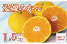 お試し用 訳あり 愛媛みかん 1.5kg 5000円 愛媛 みかん 温州みかん こたつ みかん mikan 蜜柑 ミカン 産地直送 国産 農家直送 糖度 期間限定 数量限定 特産品 ゼリー ジュース アイス 等に 人気 限定 甘い フルーツ 果物 柑橘 ビタミン 健康 美味しい おいしい ジューシー 小玉 含む 規格外 サイズ ミックス 傷み補償 500g ミッチーのおみかん畑 愛南町 愛媛県