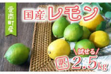 訳あり レモン 2.5kg 5000円 柑橘 サイズ 不揃い 家庭用 檸檬 国産 れもん フルーツ 果物 果実 産地直送 農家直送 数量限定 期間限定 特産品 瀬戸内 ワックス 防腐剤 不使用 果汁 人気 新鮮 少量 お試し レモネード 塩レモン レモン酢 レモンソース はちみつレモン レモンケーキ レモンスカッシュ レモンサワー レモン酎ハイ ビタミン 規格外 あいなんマザーズ 愛南町 愛媛県