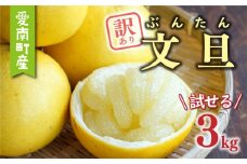 先行予約 訳あり 文旦 3kg （ Lサイズ 以上 ） 5000円 ぶんたん みかん mikan 蜜柑 ミカン 家庭用 少量 お試し 産地直送 国産 農家直送 糖度 期間限定 数量限定 特産品 ゼリー ジュース アイス 人気 限定 甘い 果実 果肉 フルーツ 果物 柑橘 先行 事前 予約 受付 ビタミン 健康 美味しい おいしい ジューシー サイズ ミックス あいなんマザーズ 愛南町 愛媛県