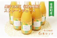 みかん 果汁 100% ストレート ジュース 720ml × 6本 セット 13000円 河内晩柑 かわちばんかん 愛南ゴールド あいなん 御荘柑 数量限定 期間限定 高級 贈答 ギフト プレゼント お歳暮 母の日 敬老の日 こどもの日 おやつ 国産 フルーツ 果物 柑橘 産地直送 農家直送 特産品 完熟 濃厚 人気 限定 甘い ジューシー 新鮮 果実 さわやか 果樹園みどり 愛南町 愛媛県
