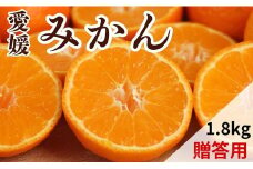 【先行予約】贈答用 愛媛みかん 1.8kg 蜜柑 みかん 柑橘 果物 フルーツ 温州みかん 愛媛みかん 愛媛 愛南町 吉本農園 